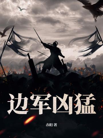 边防军什么意思